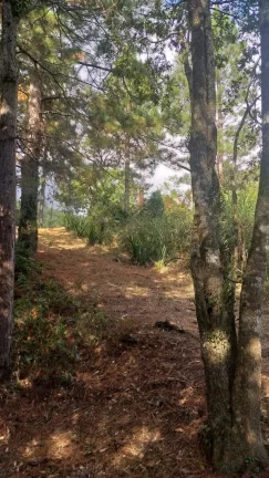 Imagem Sítio - Venda em Cabreúva e Região/SP