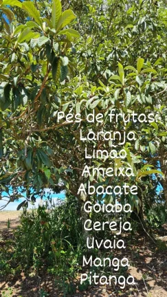 Imagem SÍTIO EM PIEDADE - BAIRRO DOURADINHO