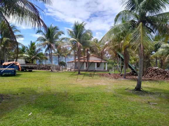 Imagem Vendo Fazenda produtiva 250mil m2, Conde / BA