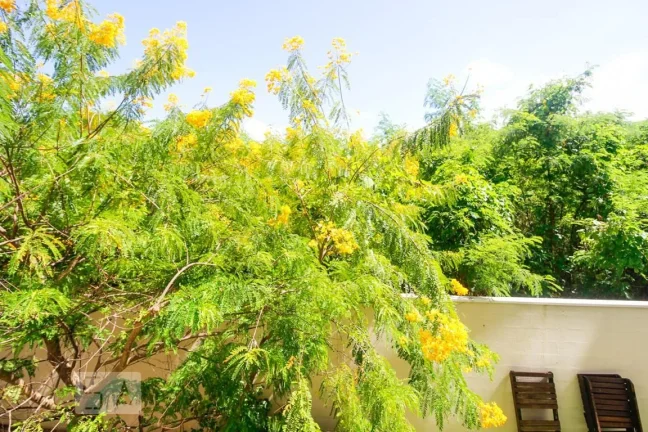 Imagem Apartamento à Venda - Recreio, 2 Quartos, 64 m2