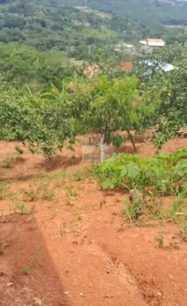 Imagem CHÁCARA JARDIM CANANÉIA
