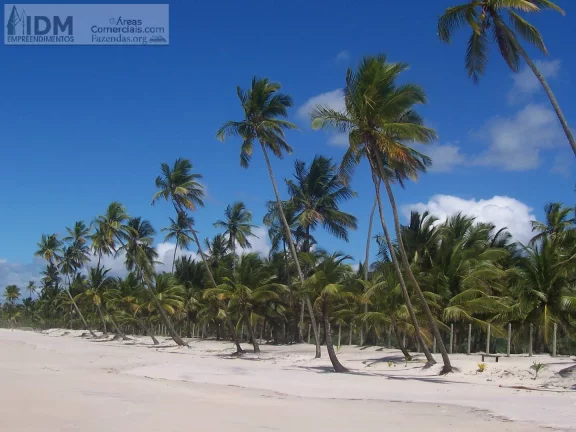 400.000 m² com 500 m de frente ao Mar em Ilhéus - BA