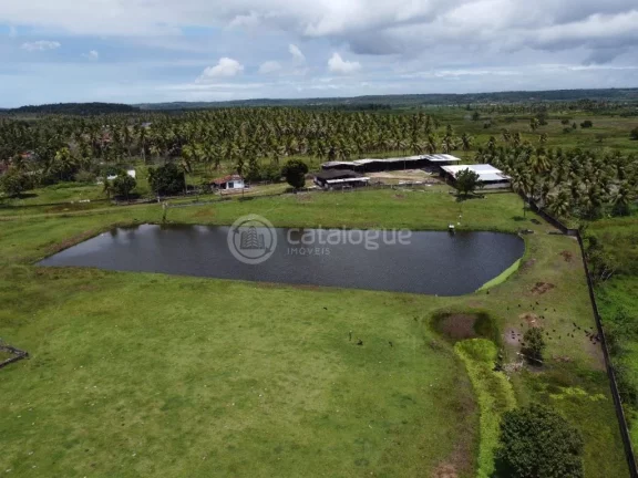 Imagem ÁREA Á VENDA EM NISIA FLORESTA