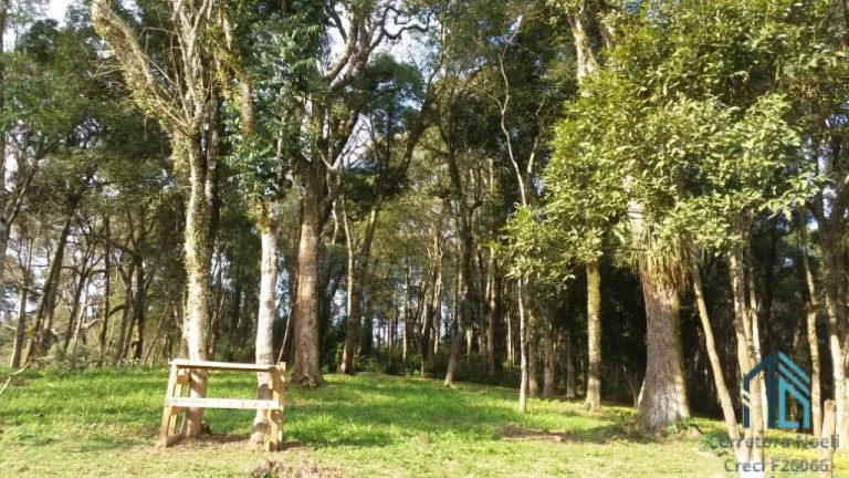 Imagem Chácara ótima localização a venda 02 casas, piscina, açude, salão de festas, em Mandirituba PR