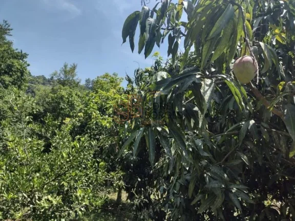 Imagem Sítio CONCÓRDIA - SC