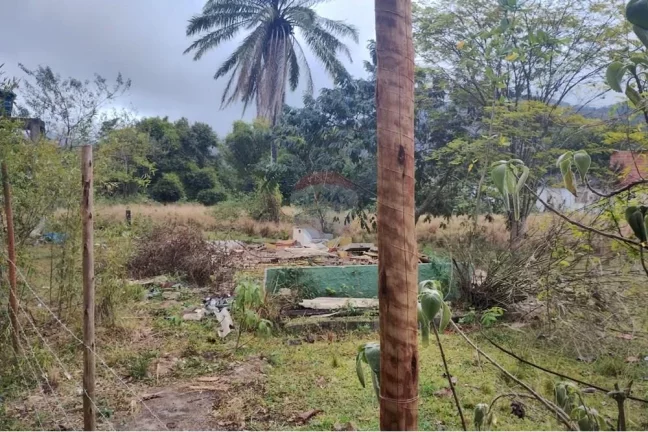 Imagem Terrenos no Loteamento Rincão Mimoso : Ótima Localização e Preço!