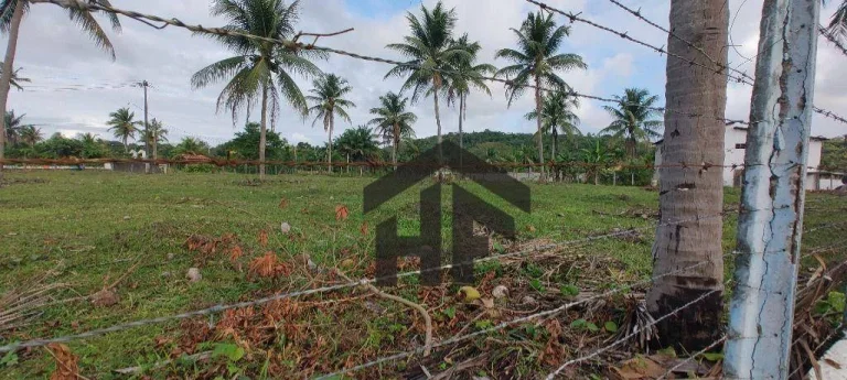 Imagem Terreno de 7.237m², à venda, totalmente cercado, localizado em Cruz de Rebouças, Igarassu - PE.