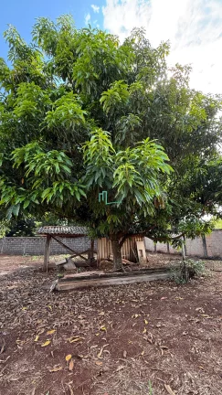 Imagem EXCELENTE CHÁCARA NO CONDOMINIO PARQUE DO MIRANTE NA PARTE ALTA DO CONDOMINIO