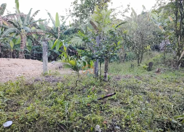 Imagem CASA RESIDENCIAL em JOINVILLE - SC, COSTA E SILVA