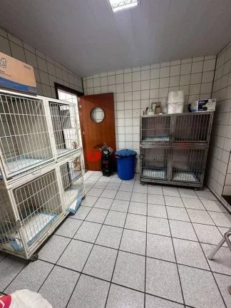 Imagem Casa para locação, Santa Maria, São Caetano do Sul, SP