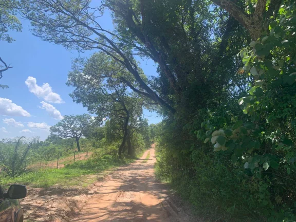 Imagem ÁREA DE 2 HECTARES , EM JUATUBA! IDEAL PARA CONSTRUTORES.