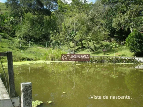 Imagem Chácara à venda, 8000 m² por R$ 650.000,00 - Itapeva - Itapeva/MG