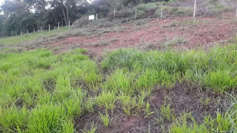 Imagem Lote à venda em Barbacena, SERRA VERDE