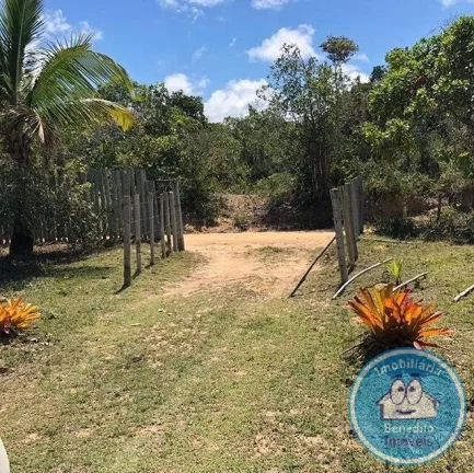 Imagem Gleba de Terra para Venda no Litoral -Região Caraívas R$750.000,00