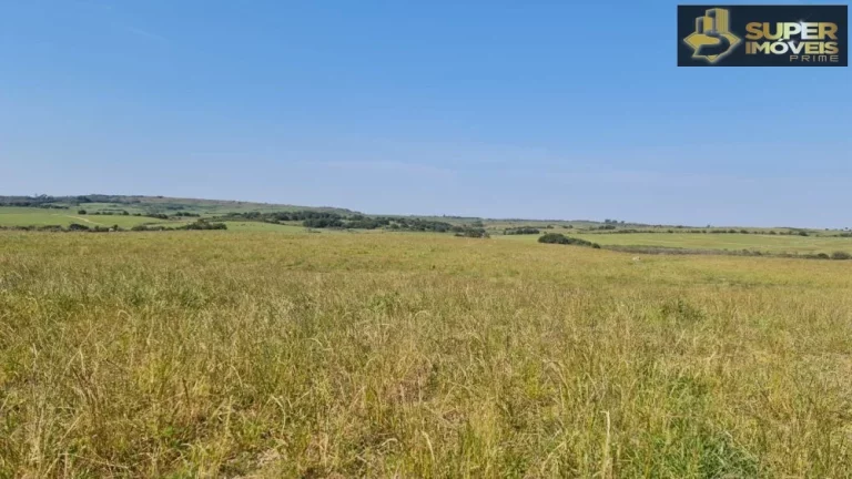 Imagem Fazenda Mista em Pedras Altas-RS