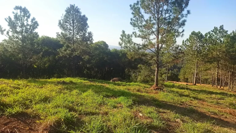 Imagem Condomínio de Chácaras Fazenda Elisa – Atibaia