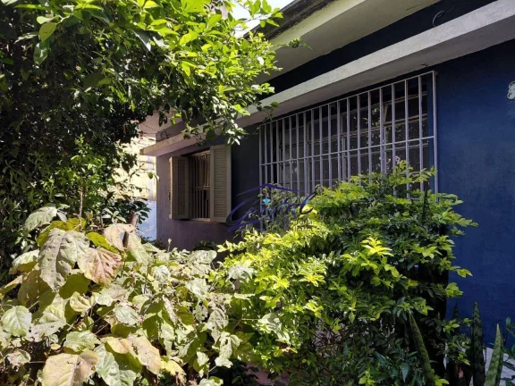 Imagem Casa com 3 quartos para alugar, 86 m² - Jardim Sarah - Butantã - São Paulo/SP
