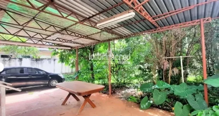 Imagem Casa no Centro de Londrina com amplo terreno de 562m², galpão nos fundos, quintal coberto e árvores frutíferas: fruta do conde, graviola e jabuticabeira.