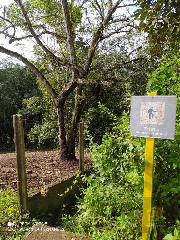Imagem Terreno à Venda, 4.959 m² em Aldeia - Paudalho