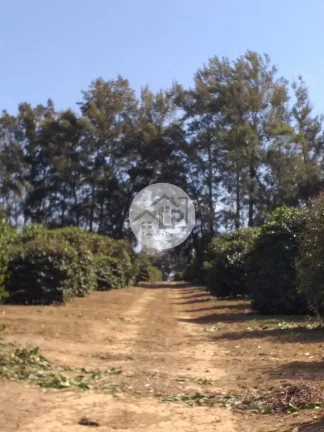 Imagem Fazenda de Café à Venda na Região do Alto Paranaíba - Minas Gerais