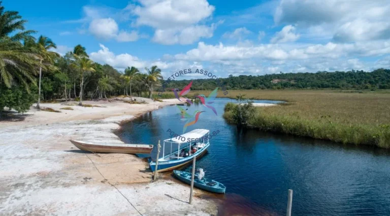 Imagem Mogi dos Pássaros - Mogiquiçaba - Belmonte - Bahia