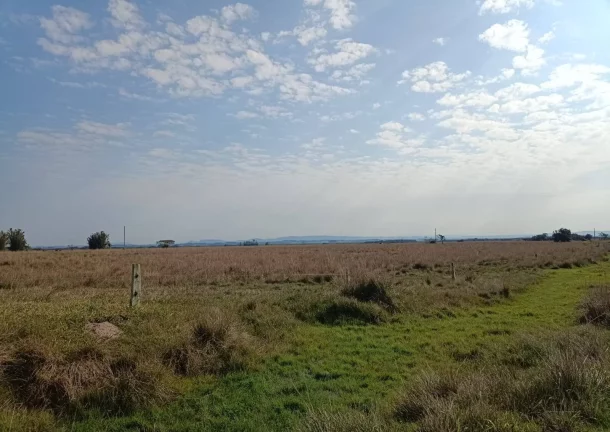 Imagem Fazenda à Venda – 583 Hectares – Viamão/RS