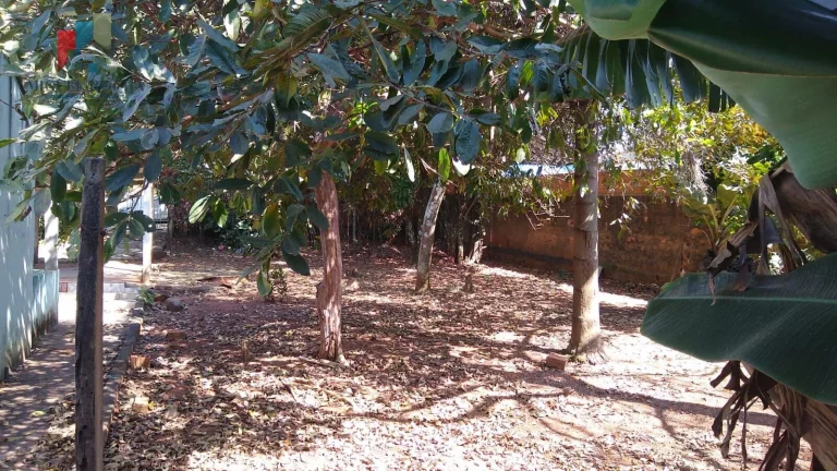 Imagem Chácara Chácara em Jardim Palmira, Tatuí/SP
