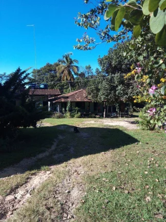 Imagem Fazenda à Venda em Faina - 237 Alqueires de Oportunidade!