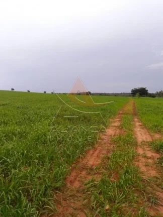 Imagem Fazenda - Guaraí - Guaraí