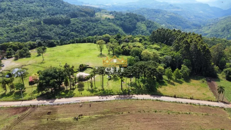 Imagem Chácara - Sítio com 2 Dormitorio(s) localizado(a) no bairro Linha Ávila em Gramado / RIO GRANDE DO SUL Ref.:1478