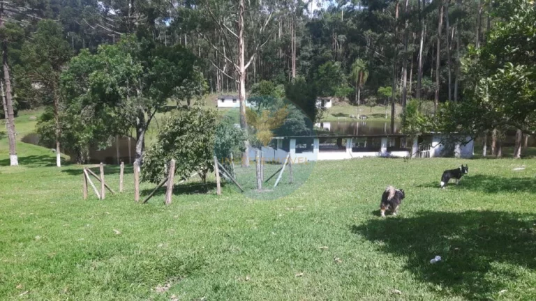 Imagem Sítio a Venda no bairro Carmo Messias - Ibiuna, SP