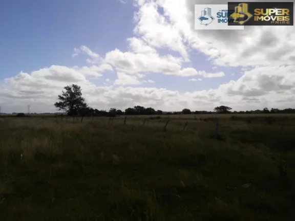 Imagem Fazenda para Venda em Quinta Rio Grande-RS - 1455