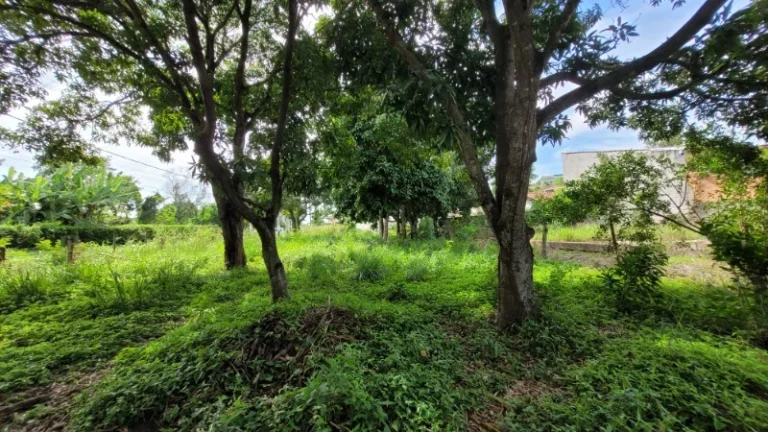 Imagem TERRENO RESIDENCIAL em SERRA - ES, ENSEADA DE JACARAÍPE