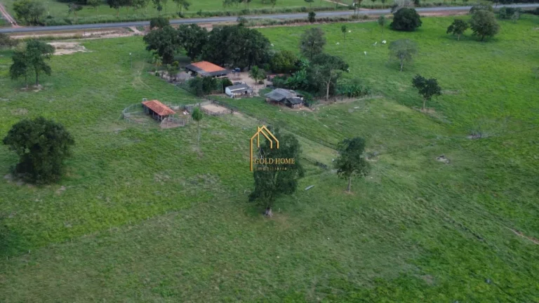 Fazenda à Venda de 113 Hectares no Cáceres-MT | Beira da Rodovia MT-343