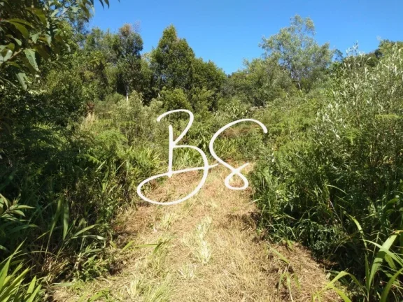 Imagem SITIO RURAL em IGREJINHA - RS, Serra Grande