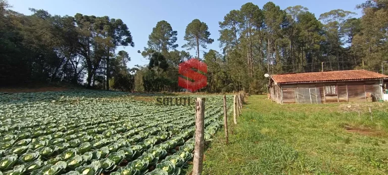 Imagem Chácara com 48.852m2 a 1Km do Alphaville Paraná em região de alto padrão