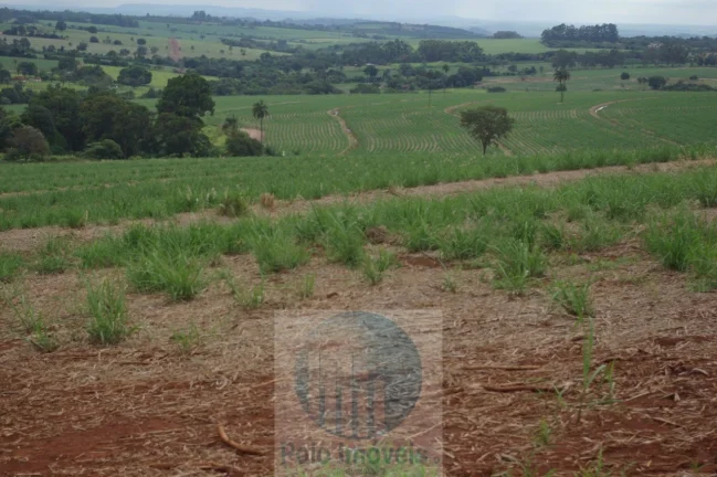 Imagem Fazenda em Cajuru 65,2254 alqueires com 35 alqueires em cana - a 78 km de Ribeirão Preto - SP sentido Casa Branca