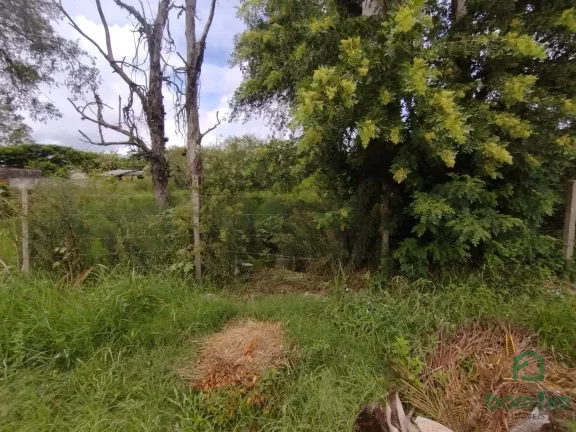 Imagem Terreno para aluguel, Ponta Grossa, Porto Alegre/RS. - TE2520