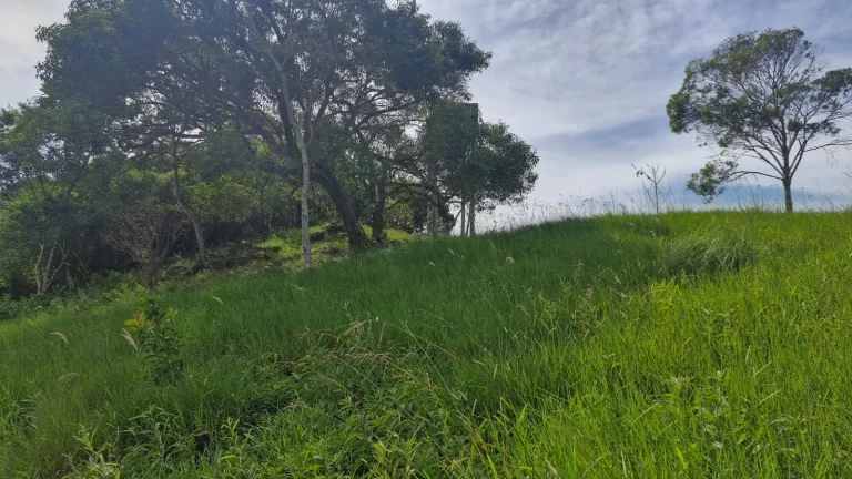Imagem Terreno de 800m² à venda em condomínio exclusivo em Paulo Lopes-SC - Imperdível!
