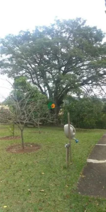 Imagem Chácara para Venda em São Roque, Planalto Verde, 3 dormitórios, 1 suíte