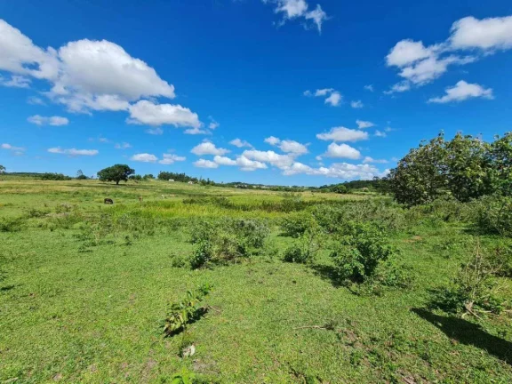 Imagem Fazenda à Venda, 251 m²