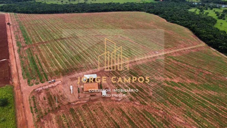 Imagem FA-2470 - BELA FAZENDA À VENDA EM CAMPINA VERDE - MG