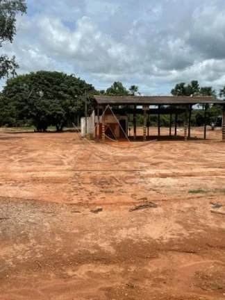 Imagem Fazenda - João Pinheiro - João Pinheiro