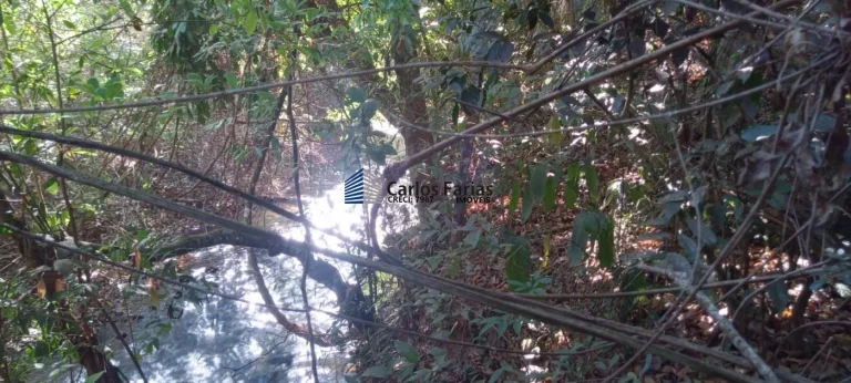 Imagem Chácara para Venda em Brasília, Setor Habitacional Jardim Botânico