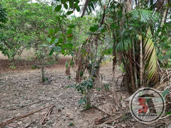 Imagem Sitio Estrada Belmont - 20.43 hectares