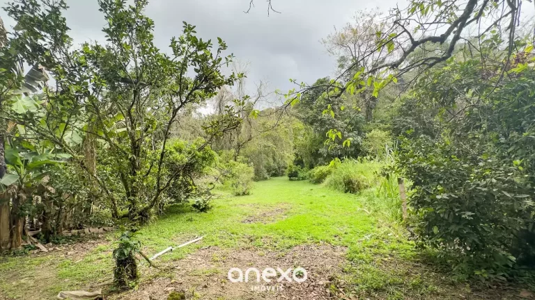 Imagem Excelente Oportunidade no Bairro Progresso em Blumenau – Terreno com Duas Casas!