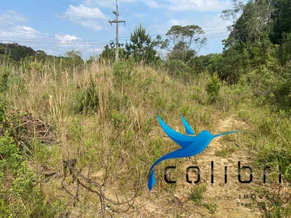 Imagem Terreno à Venda, 730 m² em Quatro Pinheiros - Mandirituba