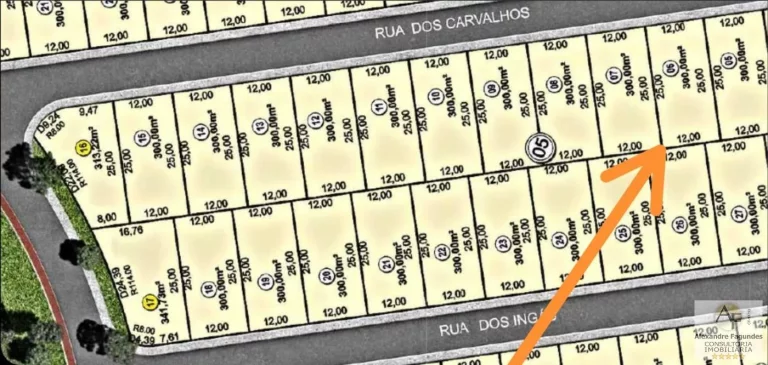 Imagem Lote em Condomínio Fechado para Venda em Senador Canedo, Jardins Bolonha
