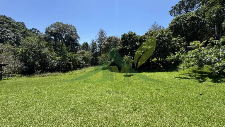 Imagem Oportunidade Única: Sítio Plano com Nascente e Lazer Completo em Bom Jesus