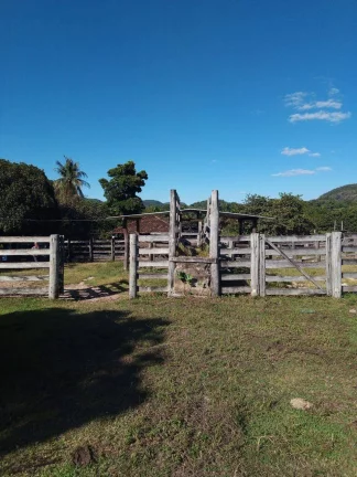 Imagem Fazenda à Venda em Faina - 237 Alqueires de Oportunidade!